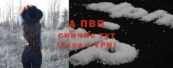 стаф Магадан