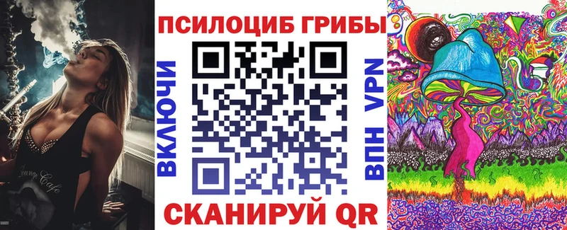купить наркоту  Приволжский  Псилоцибиновые грибы Cubensis 